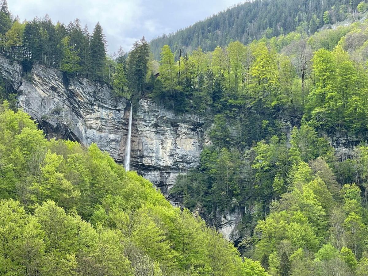 Wasserfall Apartment Waldblick Mellau Exterior foto