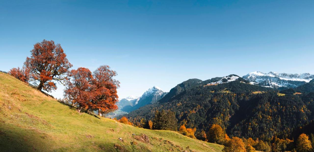 Wasserfall Apartment Waldblick Mellau Exterior foto