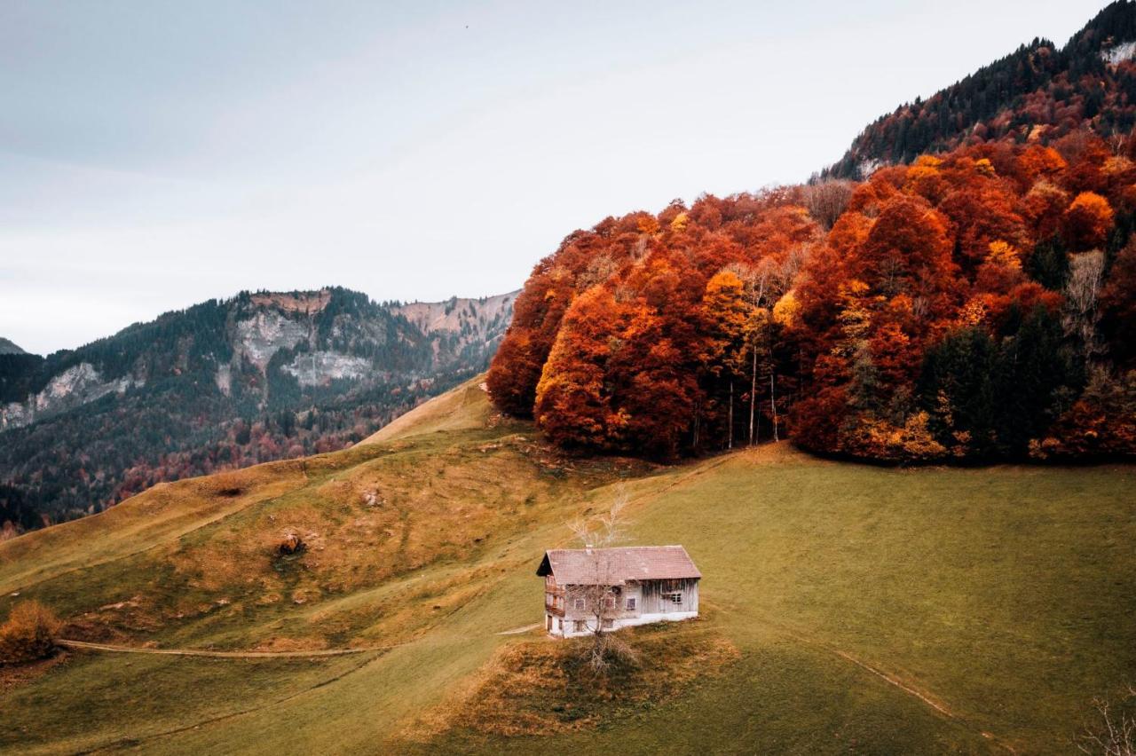 Wasserfall Apartment Waldblick Mellau Exterior foto