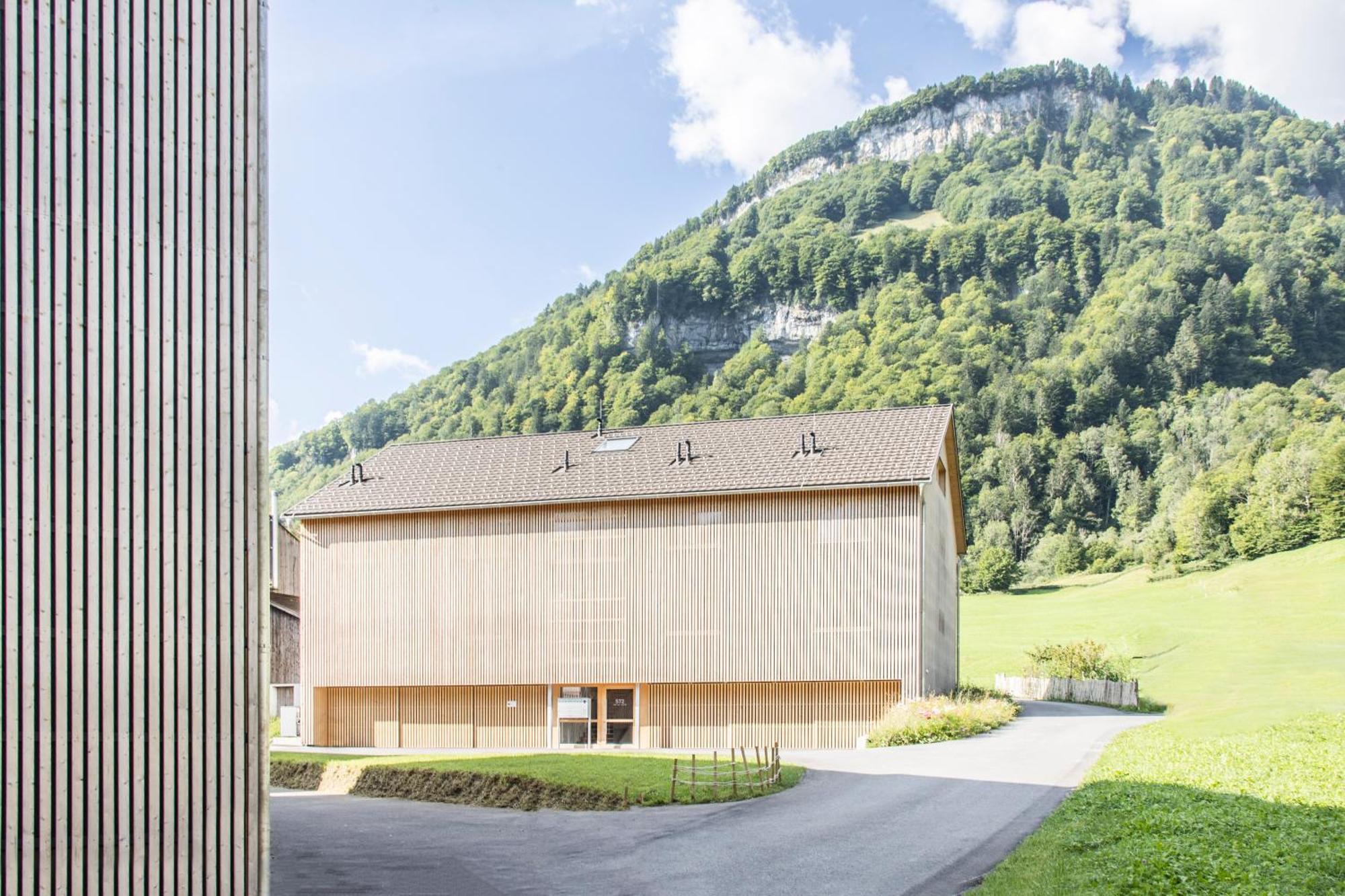 Wasserfall Apartment Waldblick Mellau Exterior foto