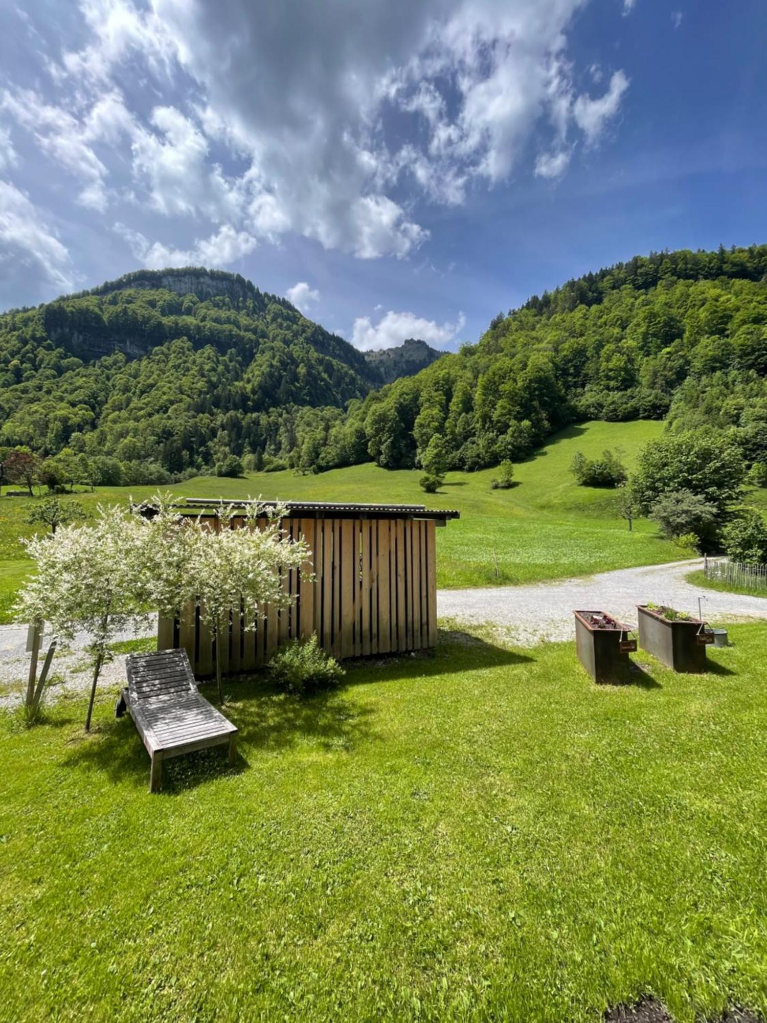 Wasserfall Apartment Waldblick Mellau Exterior foto